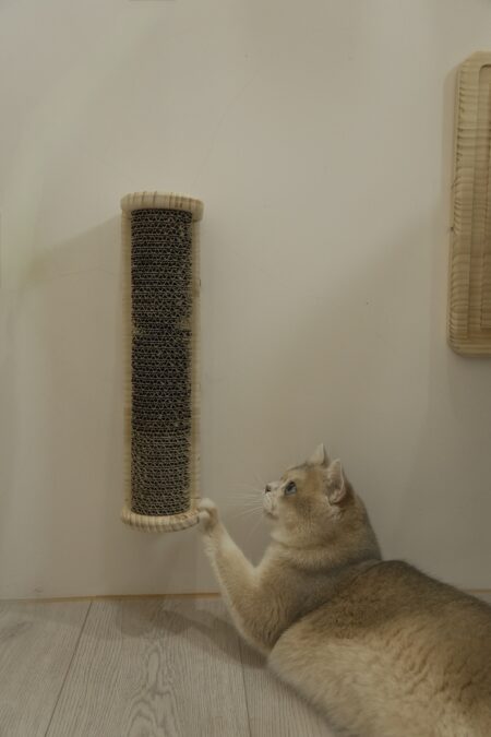 實木長長貓抓柱